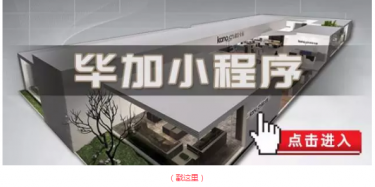 畢加邂逅小“情人”，那就再愛一次吧